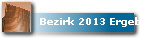 Bezirk 2013 Ergebnisse